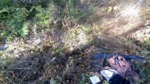 Осенняя прогулка по лесу, установка силков на рябчика.