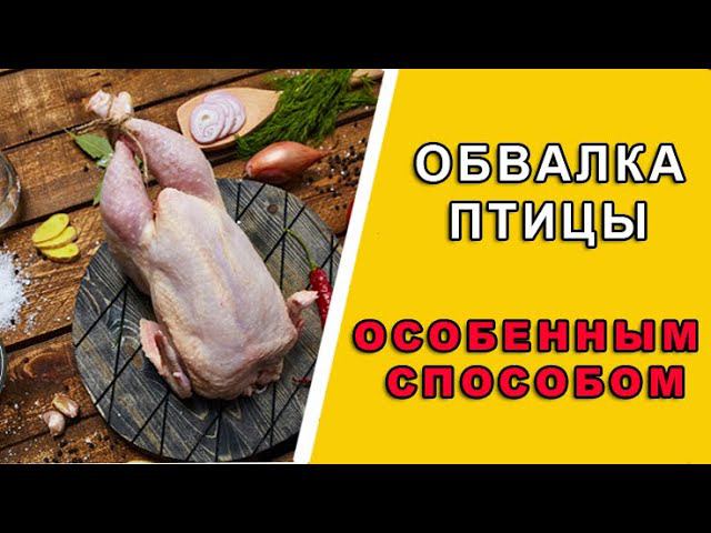 Обвалка утиных тушек. Как я разделываю тушку птицы смотреть онлайн