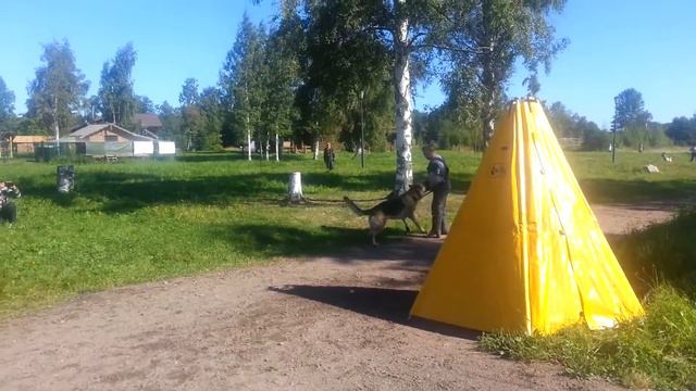 Верный друг Церон - проверка РК 25.08.13 смотреть онлайн