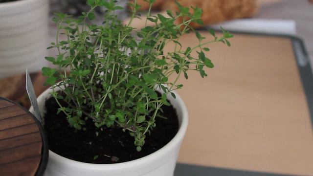 Kitchen Magick | Lemon Thyme Cookie | Accepting What Can't be Changed and moving on. смотреть онлайн