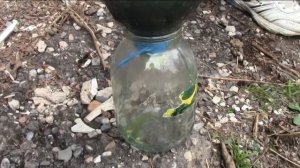 ЗОЛОТО из КАМНЯ.... Миф или реальность?????