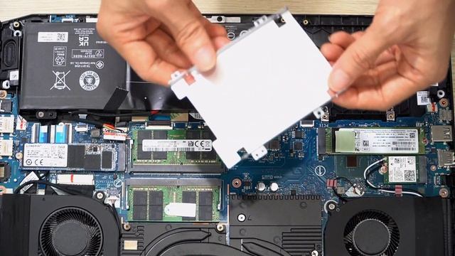 Nitro 5 Eagle nâng cấp 64GB Ram SSD HDD смотреть онлайн