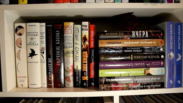 ТУР ПО КНИЖНЫМ ПОЛКАМ | МНОГО КНИГ | ДЕТЕКТИВЫ, ТРИЛЛЕРЫ, АГАТА КРИСТИ, МЭГГИ СТИВОТЕР, ЛИ БАРДУГО смотреть онлайн
