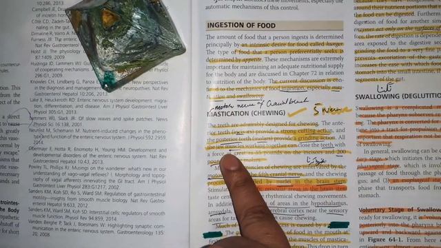 GITGuyton Chapter 64 GIT part 1 #Mjee смотреть онлайн