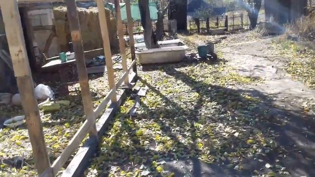 ЧТО ПРОИСХОДИТ ? За утро привезли шлак, песок и ещё 5 тон угля !!! смотреть онлайн