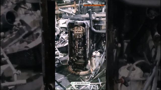 Двигатель OM646, 2 2 CDI MB SPRINTER, VITO, C Class, CLK Class, E Class смотреть онлайн