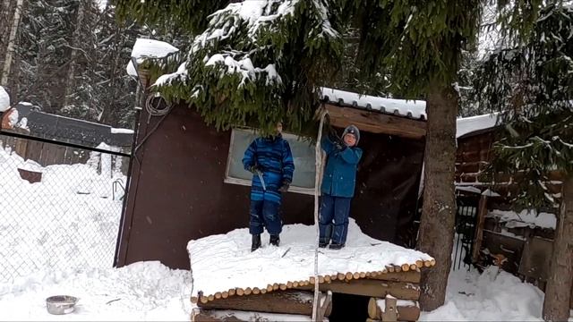 Волк и собака против детей смотреть онлайн