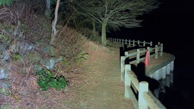 【4KHDR】 心霊スポット 147 群馬県藤岡市 竹沼 Night Walking Dead In Japan | HUNT | Haunted |【心霊映像】