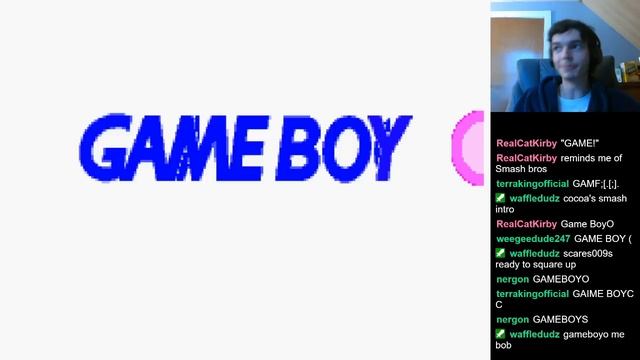 Game Boy Advance BIOS Corruptions