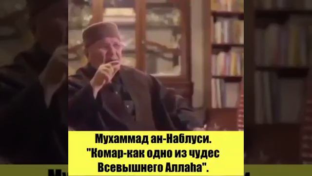 ОПИСАНИЕ КОМАРА (знамение АЛЛАХА) смотреть онлайн