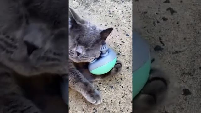 Кайфарик смотреть онлайн