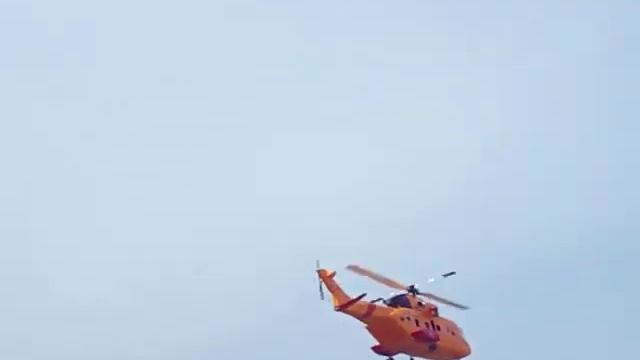 Cormorant-maiden-flight-1.MOV смотреть онлайн