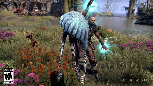 ESO Warden - Betty Netch Ability смотреть онлайн