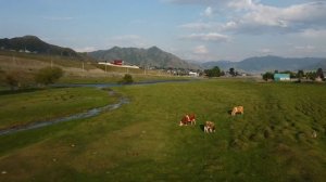 Горный алтай, село Онгудай/Gorny Altai, Ongudai village