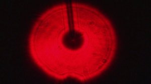 Пятно Пуассона