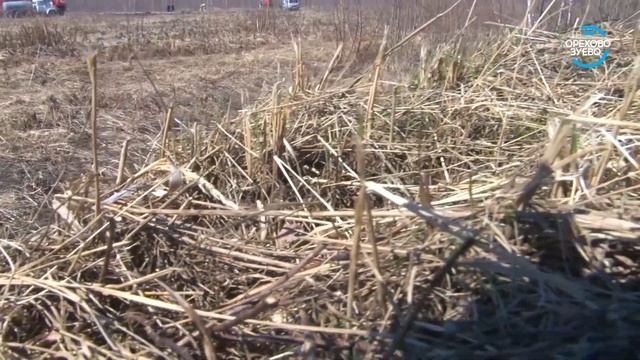 Учения МОС АВС смотреть онлайн