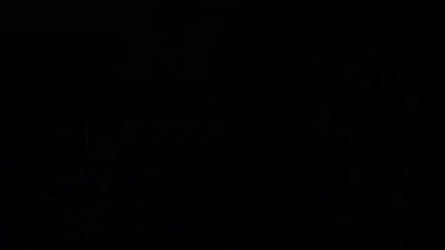 МУРАВЬИ НИКОГДА НЕ СПЯТ: Влад Кульков в Anna Nova (АРТЛИКБЕЗ № 152) смотреть онлайн