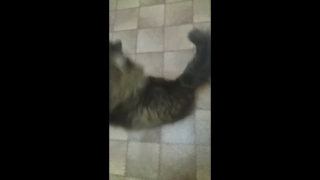 sissy тренинг на русском смотреть онлайн