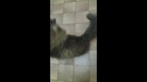 sissy тренинг на русском