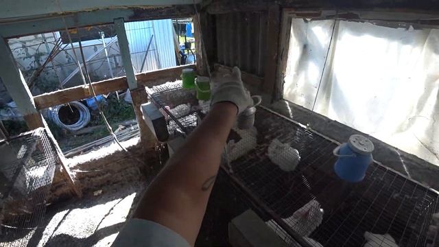 ОЧЕРЕДНОЙ КРОЛЬЧАТНИК ПОД СНОС! смотреть онлайн