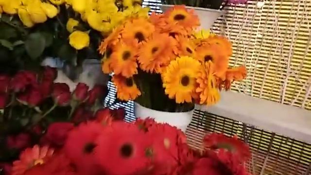 С НАСТУПАЮЩИМ ВАС ПРАЗДНИКОМ 8 МАРТА ДОРОГИЕ ЖЕНЩИНЕ И ВСЕ ЦВЕТЫ МИРА К ВАШИМ НОГАМ! смотреть онлайн