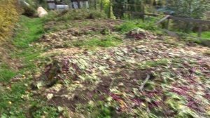 ОБИТЕЛЬ РАССВЕТА. САД МЕЧТЫ ДЕНИСА САФРОНОВА.