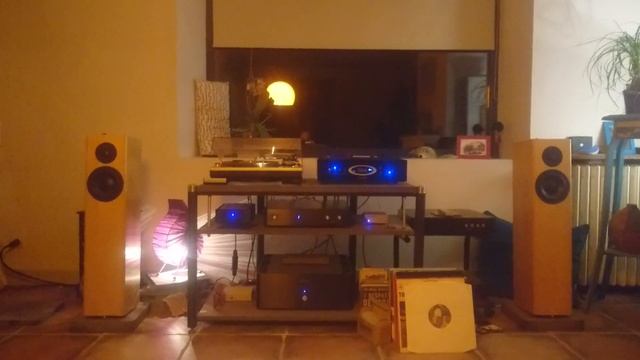 Totem Forest, Audio GD Master 3 Et 7, Tinysqueeze, Audiophileo, Kora Crescendo, Mogami, Vovox.