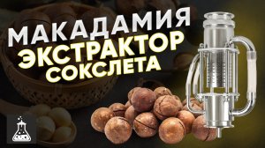 Макадамия на экстракторе Сокслета