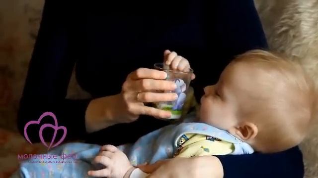 Чашка МФ.wmv смотреть онлайн