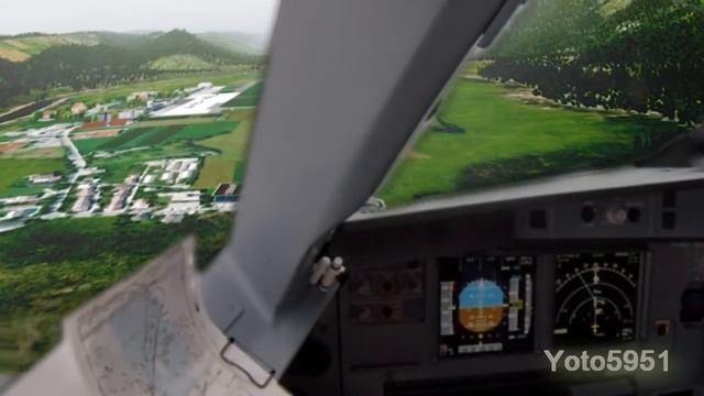Insane BIRDSTRIKE Dangerous Landing at Innsbruck airport - Ultra Realistic! смотреть онлайн