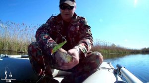 Майская Щука! На что лучше ловить щуку весной? Железо или Воблер? #рыбалка2021 #щукавесной