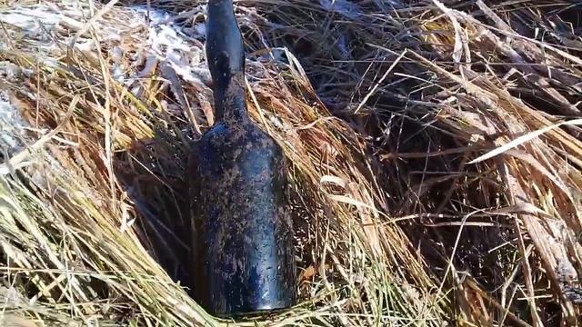 Шурф 2021 на исчезнувшей деревне. Garrett AT PRO.