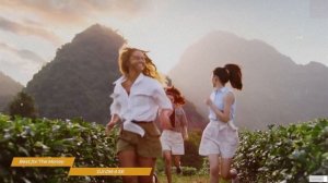 TOP 3 : Best Gimbal for Smartphone 2023