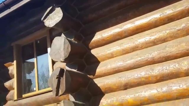 Дикий сруб смотреть онлайн