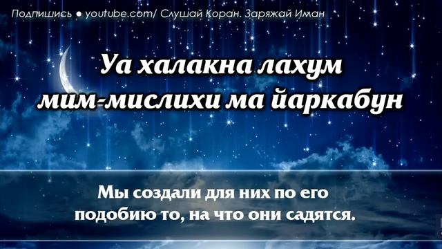 Сура ясин спокойстве на всю ночь и лекасть с утра смотреть онлайн