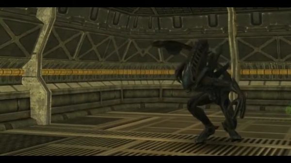 Ксеноморфы из AVP Evolution...