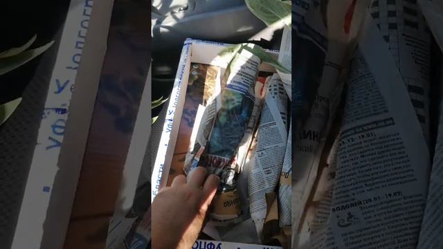 Распаковка хост от Наталия Клейдоск💕 смотреть онлайн