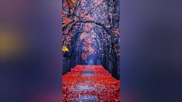 КАК МОЖНО СПАСТИ ДУШУ! ВХОД В ДУШУ - ЭТО НАШЕ СЕРДЦЕ.АРХИМАНДРИТ ИОАНН КРЕСТЬЯНК смотреть онлайн