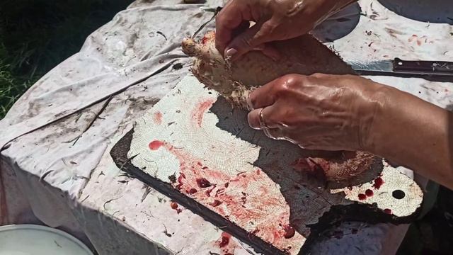 Зарезали утку, внутри много яиц смотреть онлайн