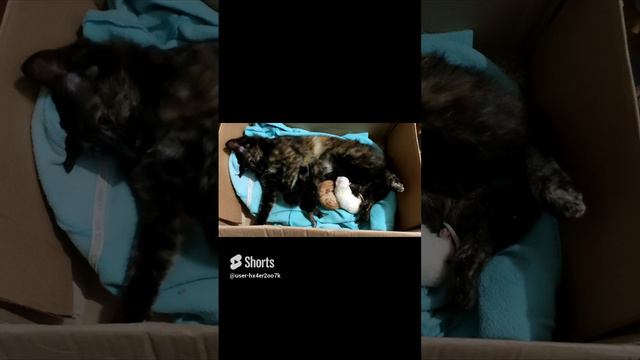 20 июня 2024 г..mp4