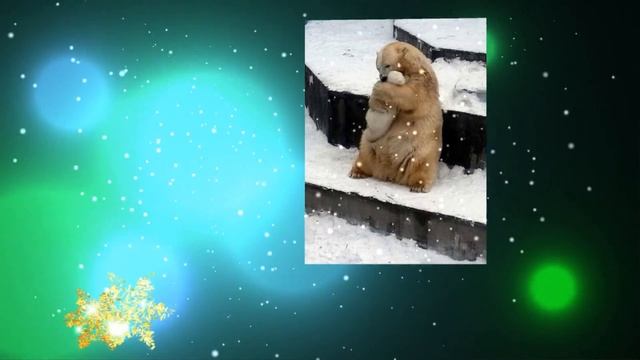 Зима!!! смотреть онлайн