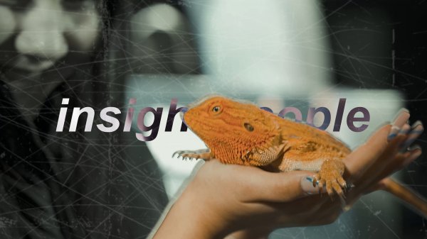 ФОРУМ INSIGHT PEOPLE В САНКТ-ПЕТЕРБУРГЕ!