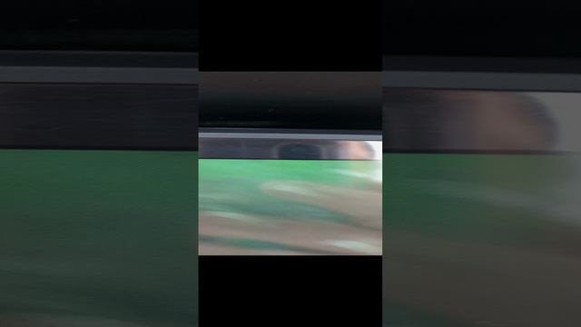 изобилие рыбы вот где рай для рыбака 🐟