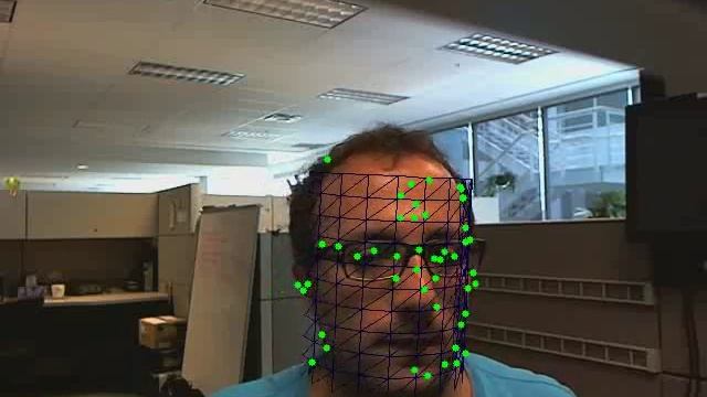 Face Tracking and Head Pose Estimation with OpenCV смотреть онлайн