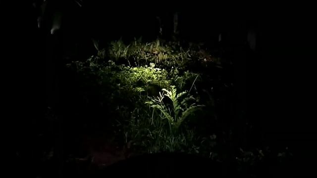 Novsight LED headlight vs Halogen light comparison смотреть онлайн