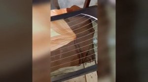 Замена стекла тойота витц