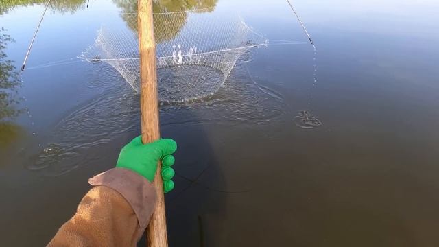 САЗАНЫ ГИГАНТЫ РВУТ ПАУК!!! ВЕСЕННЯЯ РЫБАЛКА НА ПАУК, НА ФАТКУ!!! ВЕСНА 2023 смотреть онлайн