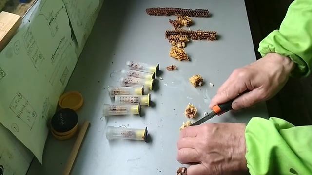Маточники 23 мая изолируем смотреть онлайн