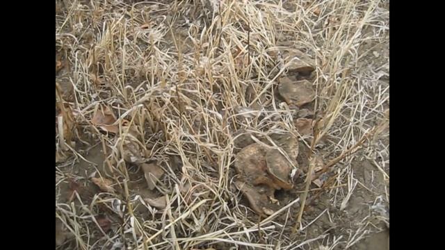 Чистота - наше вдохновение