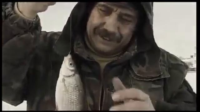 Клев рыбы семейства карповых смотреть онлайн